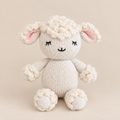 Baby Sheep